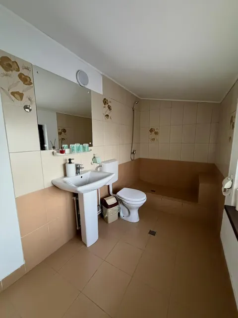 Baie spațioasă cu duș și oglindă mare