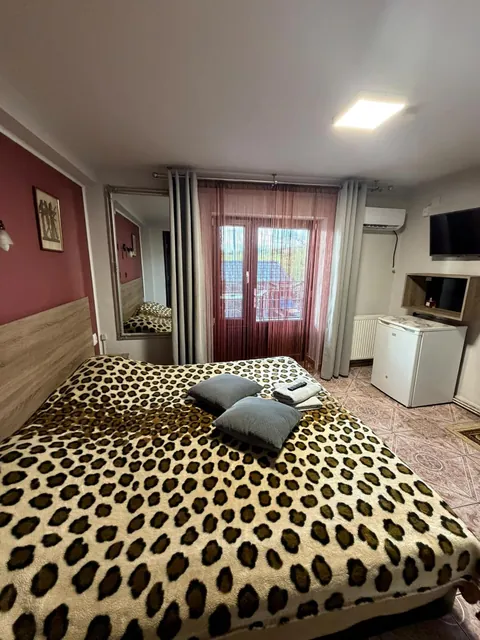 Cameră cu perete vișiniu, TV și ușă spre balcon